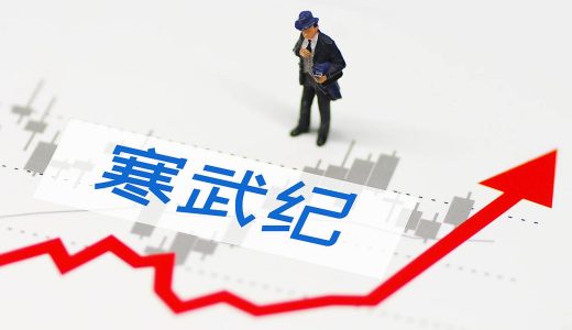 寒武纪2025 Q2 营收同比增长 4425%，净利润增长 324%
